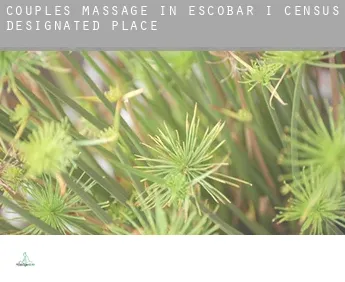 Couples massage in Escobar I